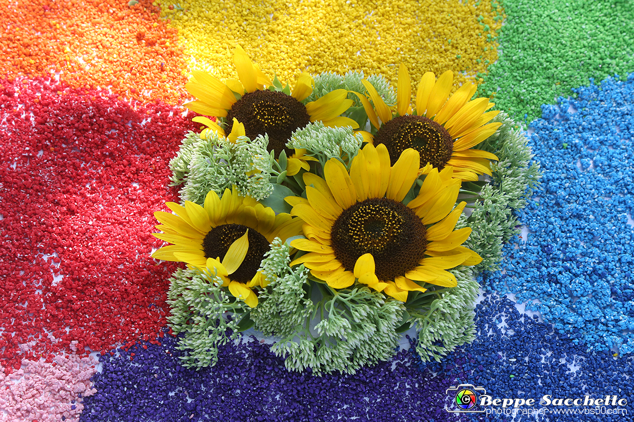 VBS_9974 - Infiorata di Villanova d'Asti 2023.jpg